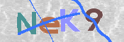 キャプチャ画像
