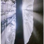 4位　光芒　Ⅰ 菅谷　きぬ子
