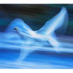 3位　幻想の舞