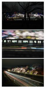 都会の梅園
