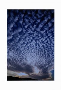 4席　朝雲　向後寛治