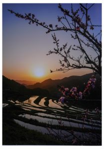 3位　橙に咲く　秋山さおり