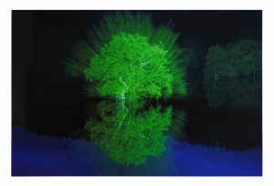 2席向後寛治幻の水没林