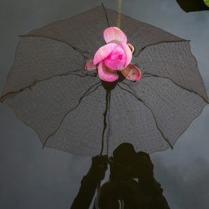 1席　 極楽の花