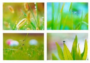 ADSC05823 高橋久子