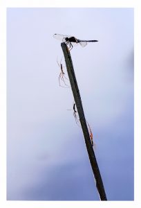 ADSC05832 向後寛治