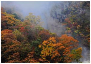 2席　霧　沸く　林元之
