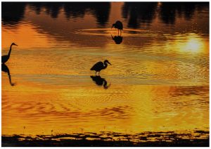 2席　早朝の川面　向後寛治