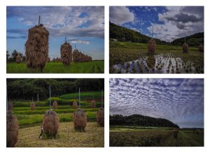 1席　懐古風景　向後寛治