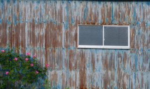 3席　芙蓉の咲くころ