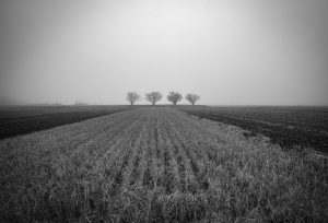 1位　向後広美　 夢の続き