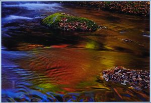 2位水面の光彩　吉田英男