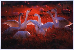 2席　みんな集まって　谷口洋子