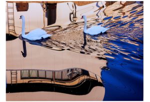 1席　早朝の散歩　向後寛治