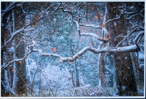 3席　雪景色　菅谷きぬ子　